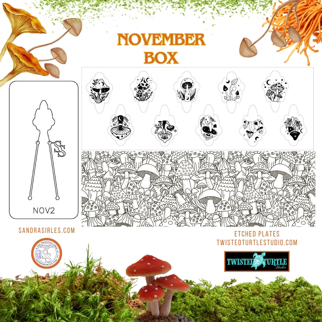 NOVEMBER2 BOX – MYSTICAL MUSHROOM MAGIC!